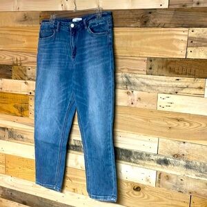 Vervet size 30 high waisted medium wash straight leg stretchy jeans